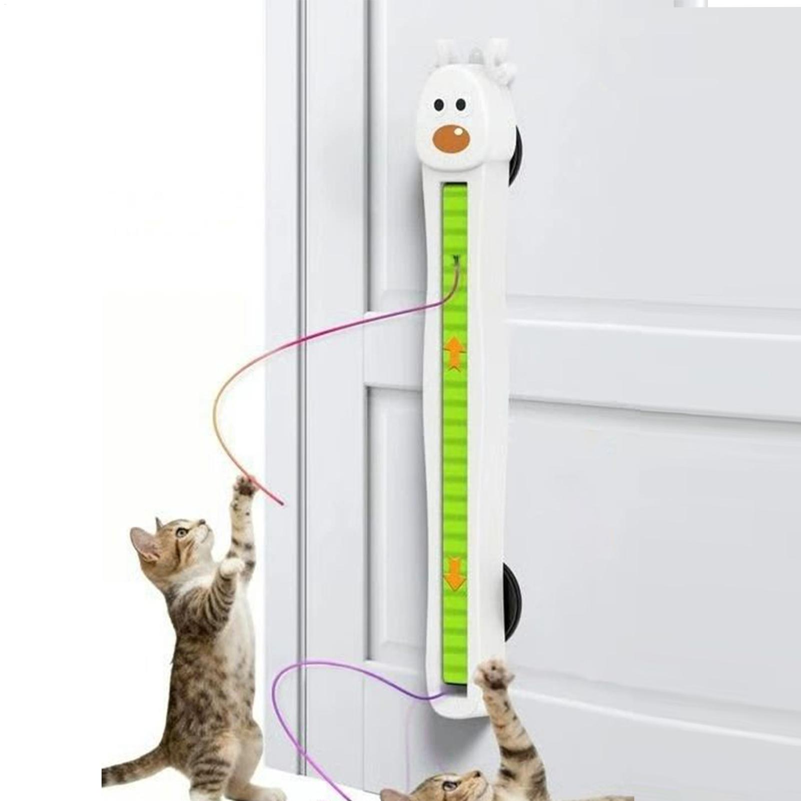 Giocattoli Elettronici per Gat - Kitchen Electronics Gadgets recensione e prezzo