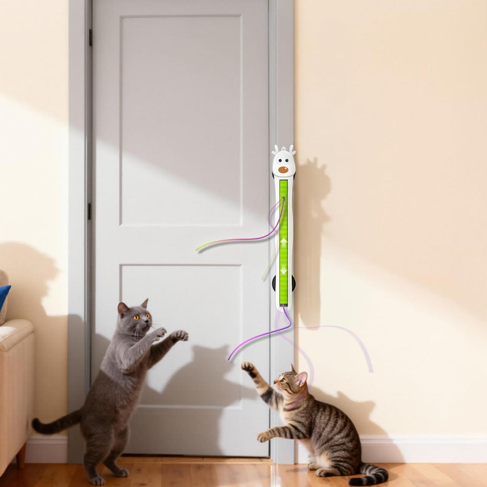 Giocattoli Elettronici per Gat - Kitchen Electronics Gadgets recensione e prezzo